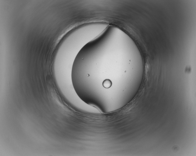 X0000112880156200909181856