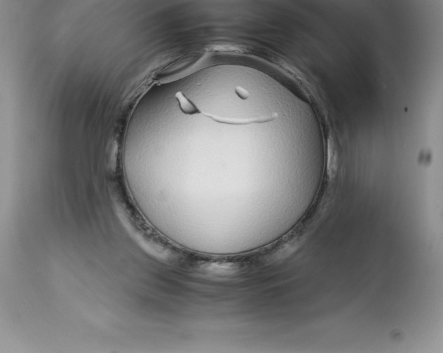 X0000112880157200909181856