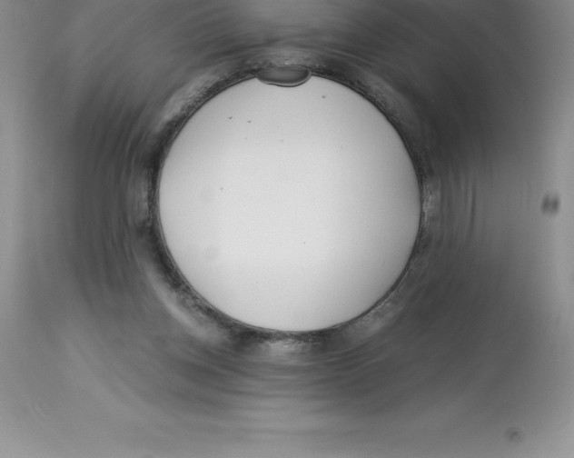 X0000112880158200909181856