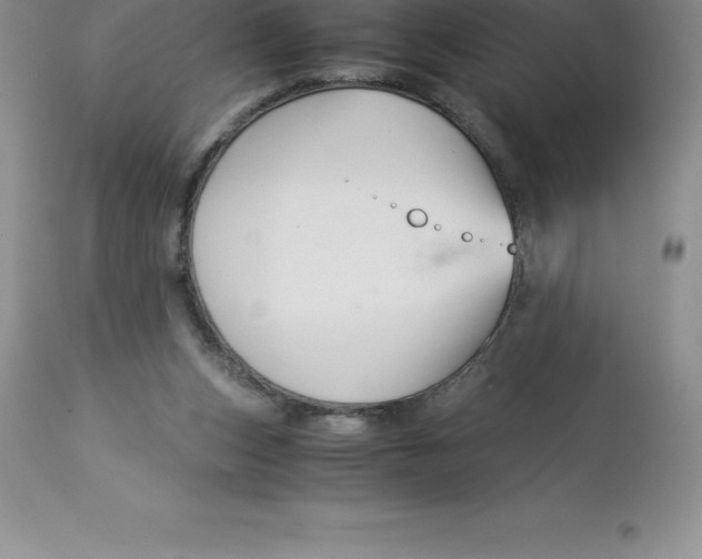 X0000112880159200909181856