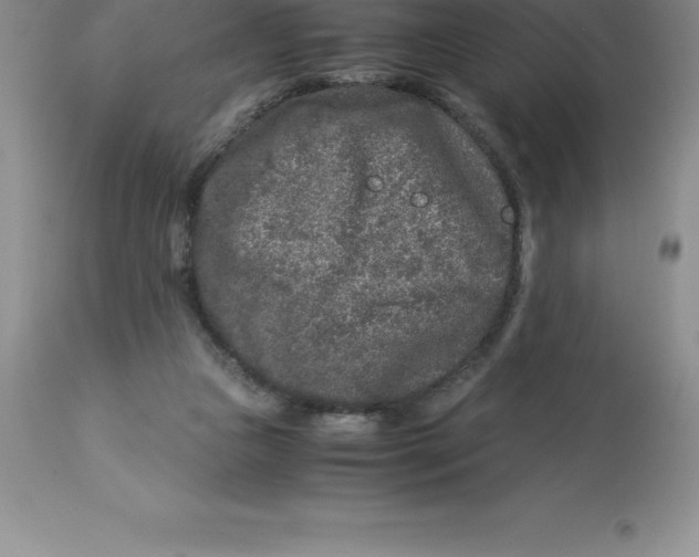 X0000112880161200909181856