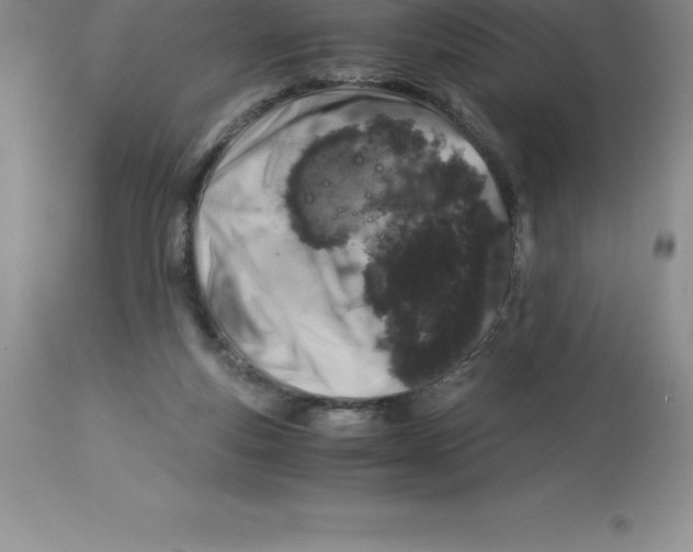 X0000112880163200909181856