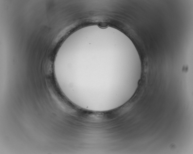 X0000112880164200909181856