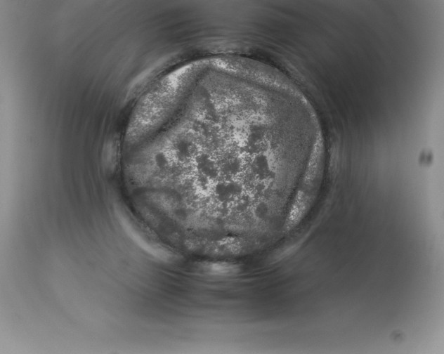 X0000112880165200909181856