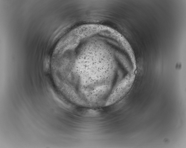 X0000112880166200909181856