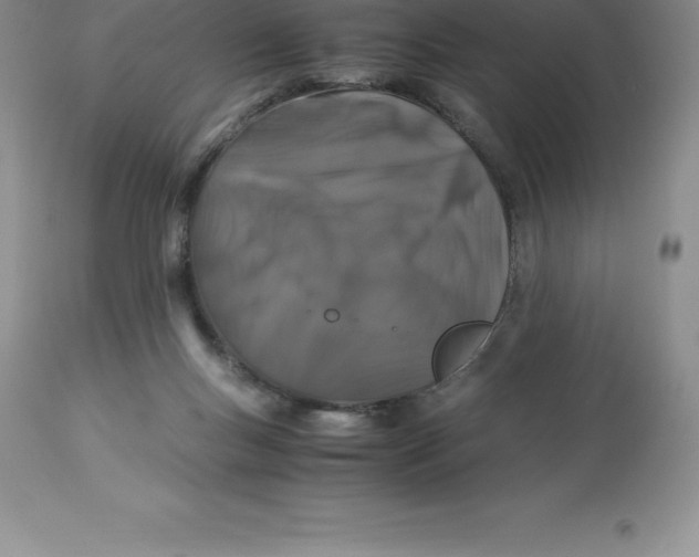 X0000112880167200909181856