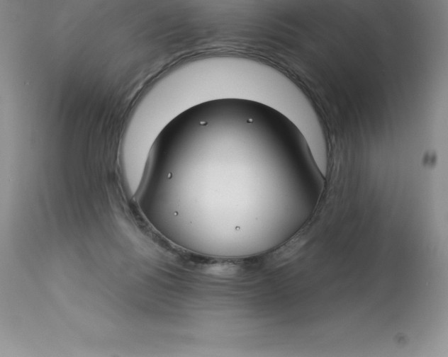 X0000112880168200909181857