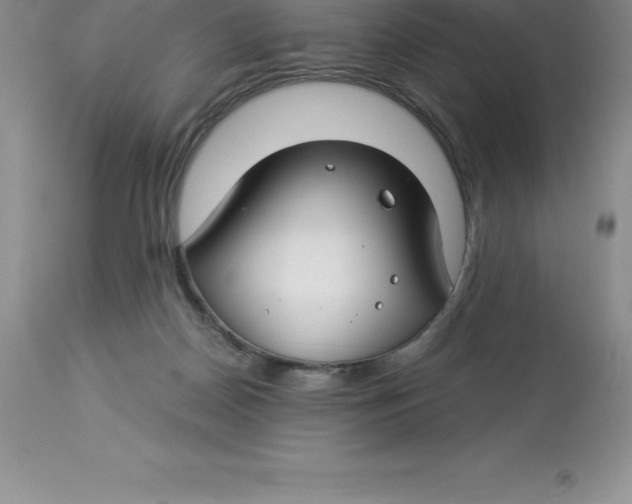 X0000112880170200909181857