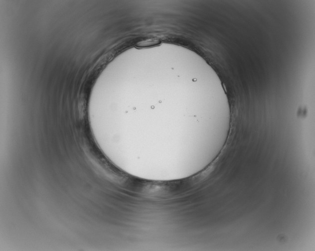 X0000112880174200909181857