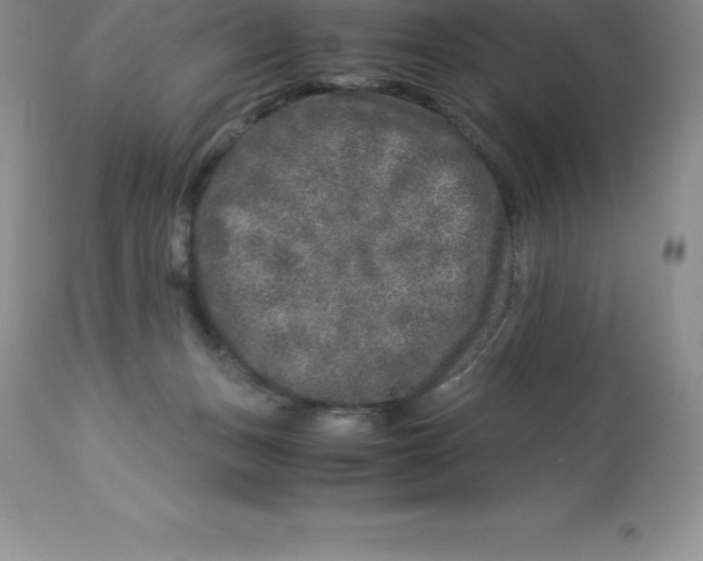 X0000112880175200909181857