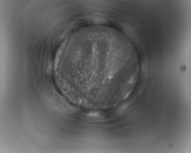 X0000112880177200909181857