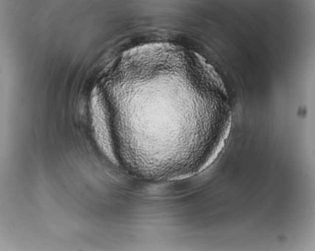 X0000112880178200909181857