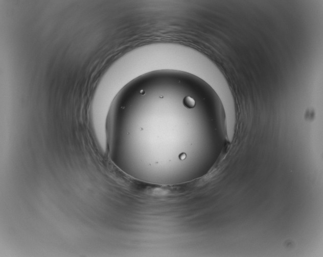 X0000112880180200909181857