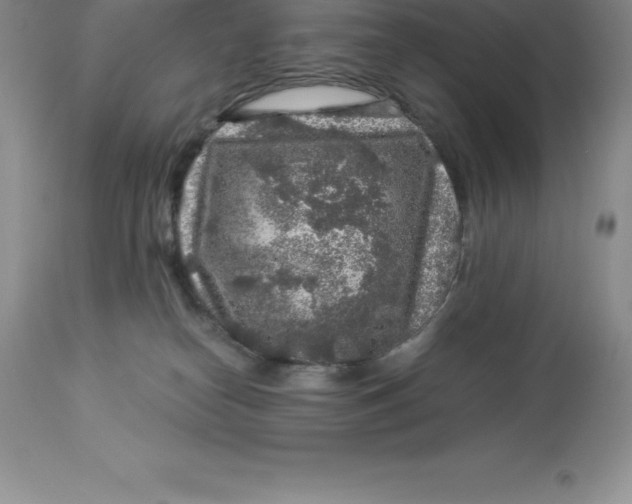 X0000112880182200909181857