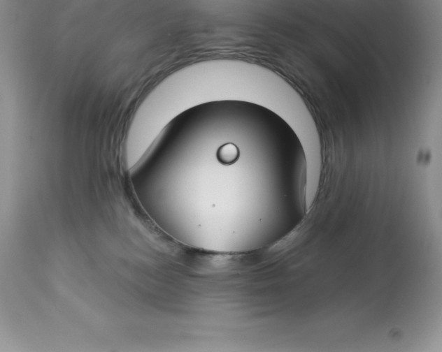 X0000112880184200909181857