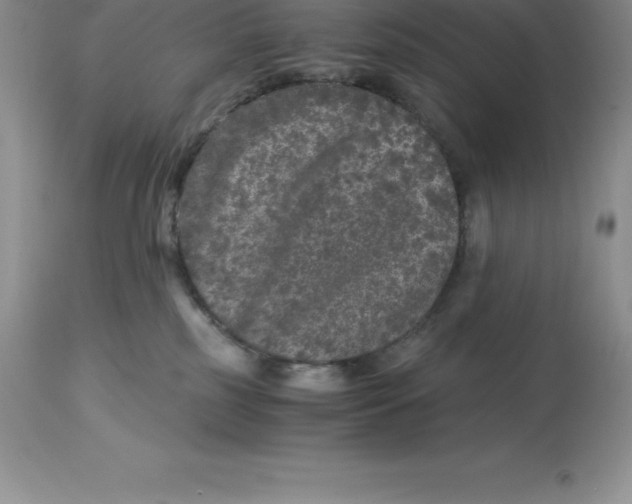 X0000112880185200909181857