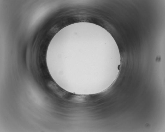 X0000112880190200909181857