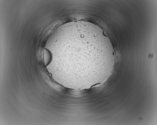 X0000112880191200909181857