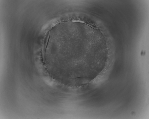 X0000112880192200909181857