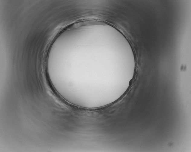 X0000112880193200909181856