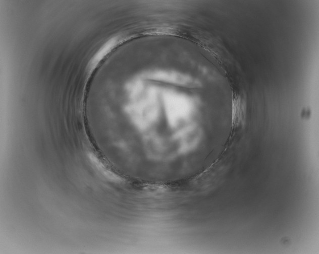 X0000112880195200909181856