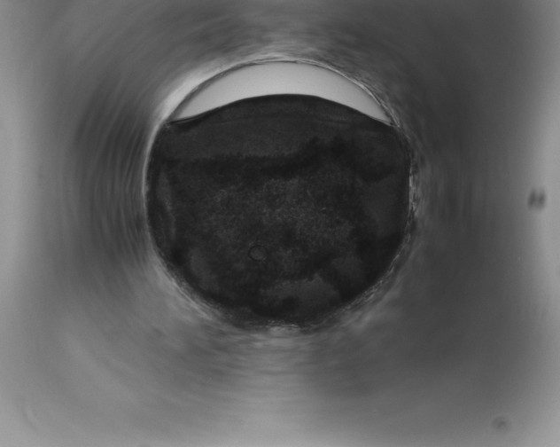 X0000112880196200909181856