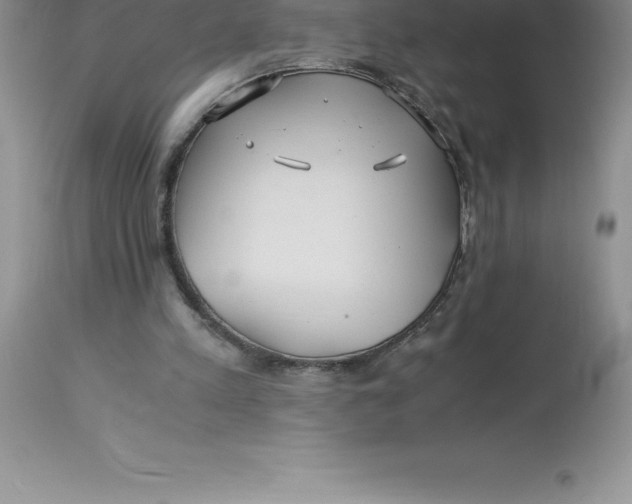 X0000112880197200909181856