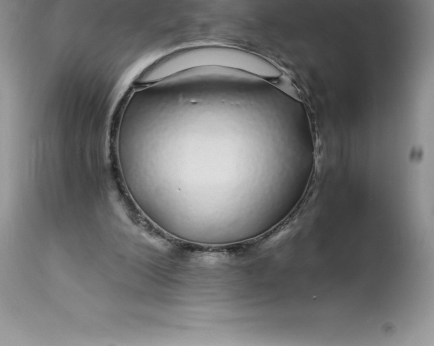 X0000112880200200909181856