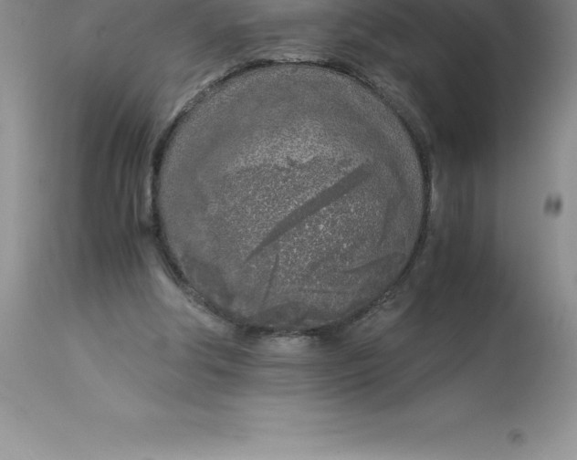 X0000112880202200909181856