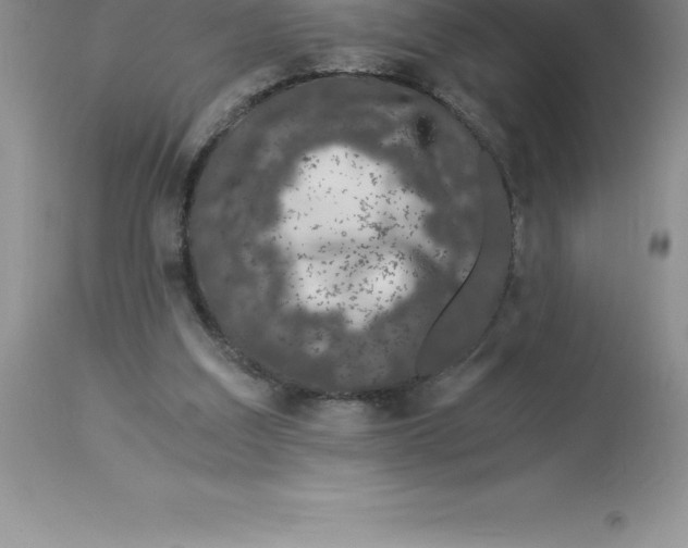 X0000112880203200909181856