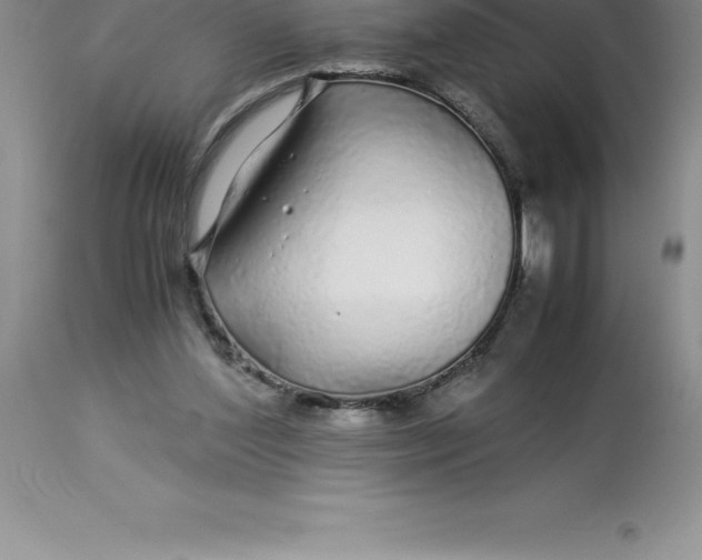 X0000112880204200909181856