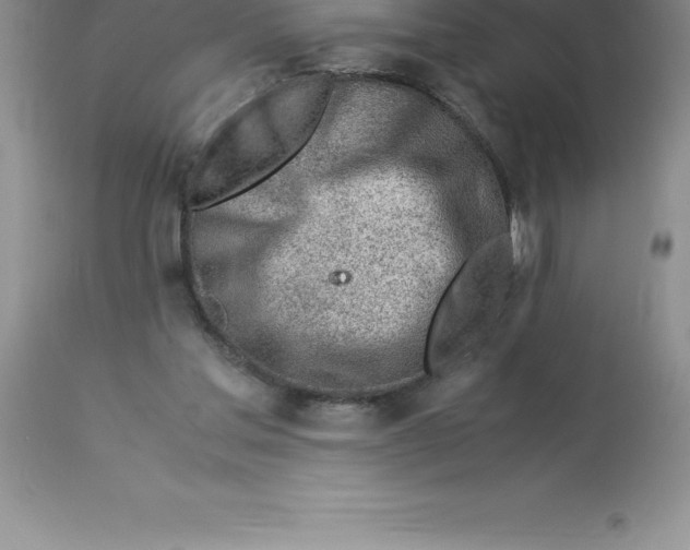 X0000112880205200909181856