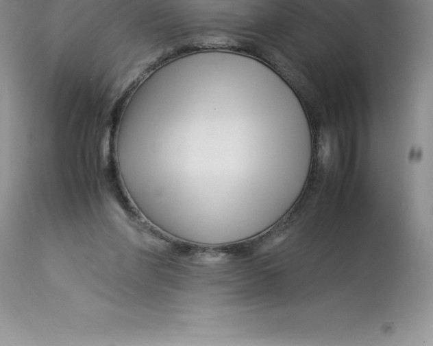 X0000112880206200909181856