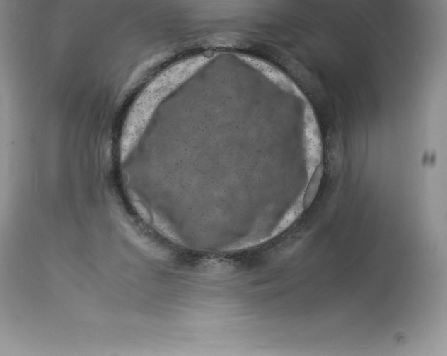 X0000112880207200909181856