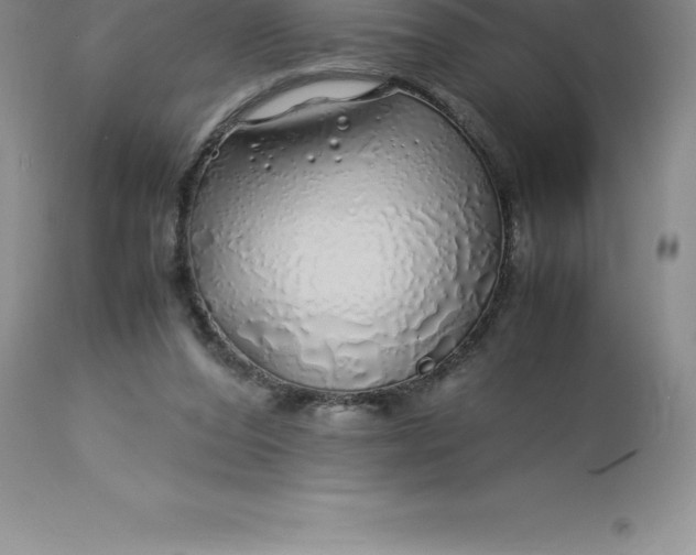 X0000112880208200909181856