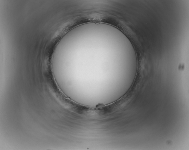 X0000112880209200909181856