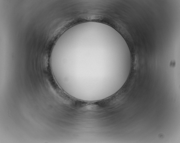 X0000112880210200909181856