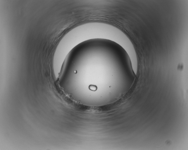 X0000112880211200909181856