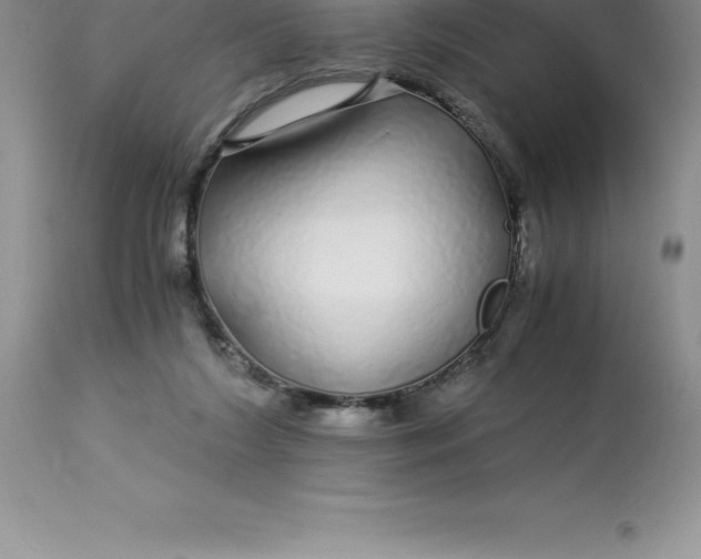 X0000112880212200909181856