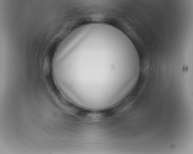 X0000112880213200909181856