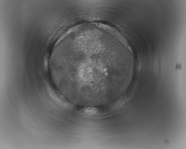 X0000112880214200909181856