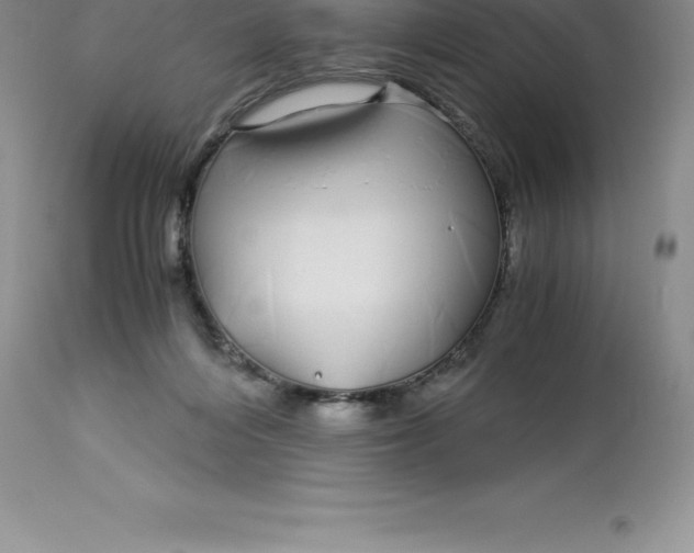 X0000112880216200909181856