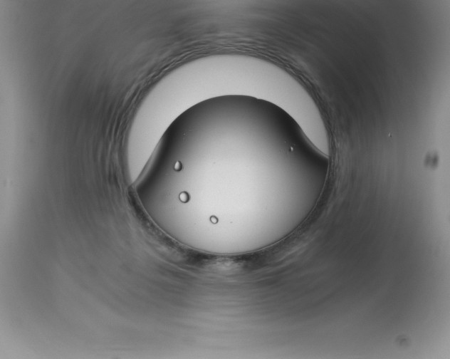 X0000112880217200909181856