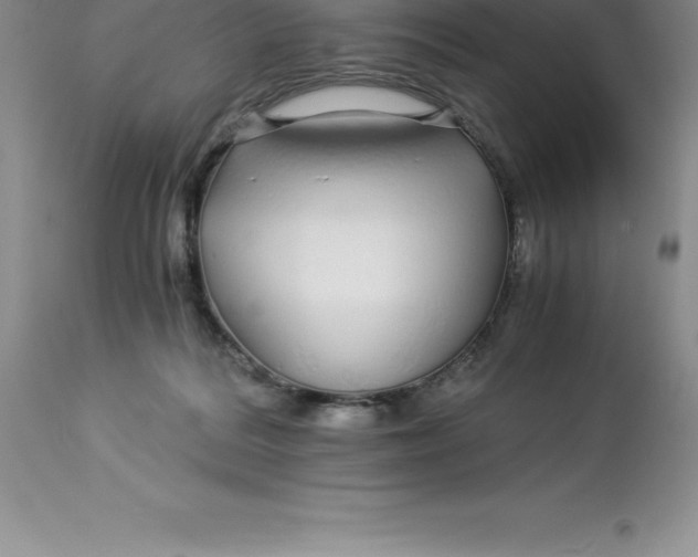 X0000112880220200909181856