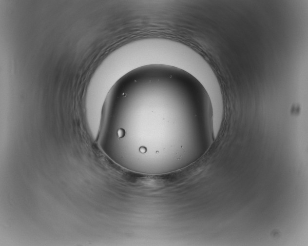 X0000112880221200909181856