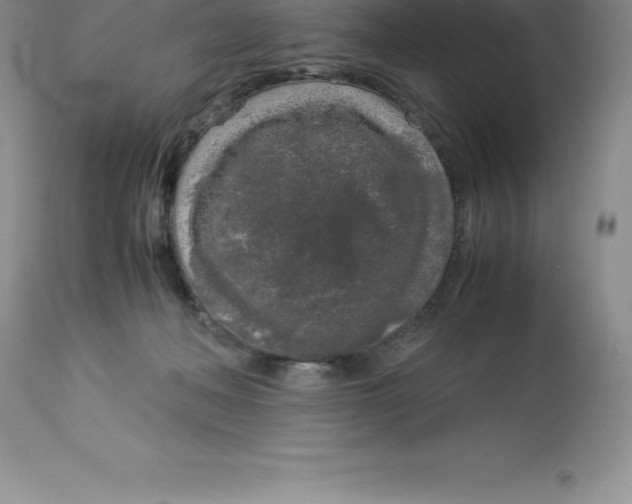 X0000112880222200909181856