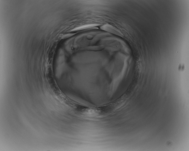 X0000112880223200909181856