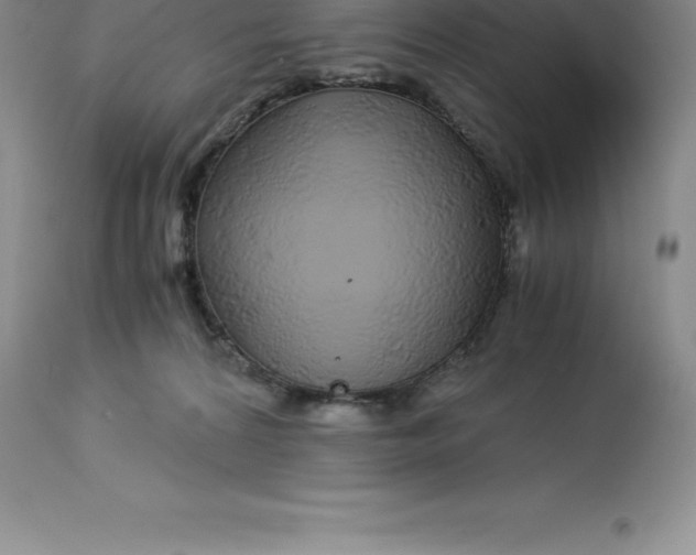 X0000112880224200909181856