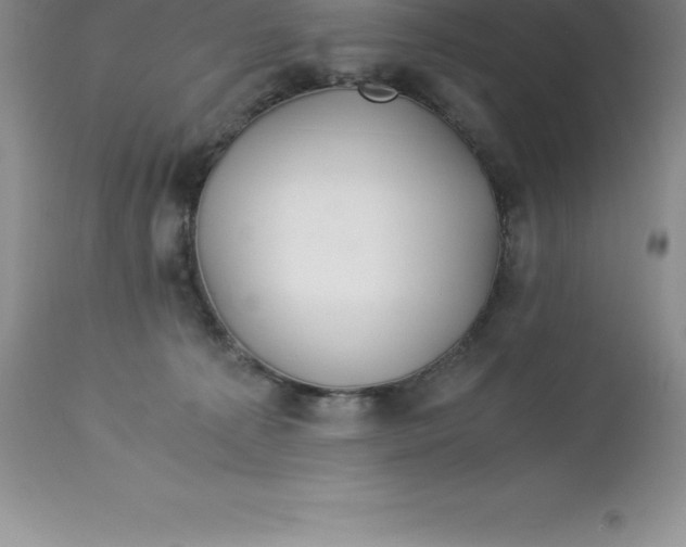 X0000112880225200909181856