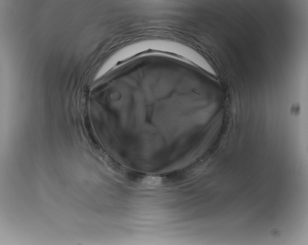 X0000112880227200909181856